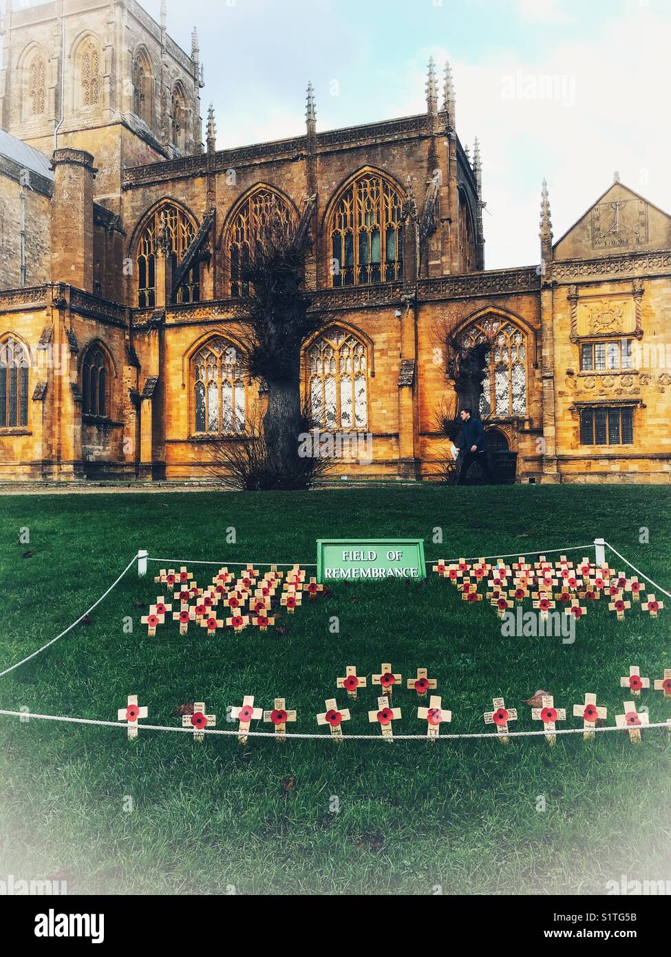 Poppies in a field of Remembrance outside Sherborne Abbey, Dorset, England - Smartphone Captured Stock Image