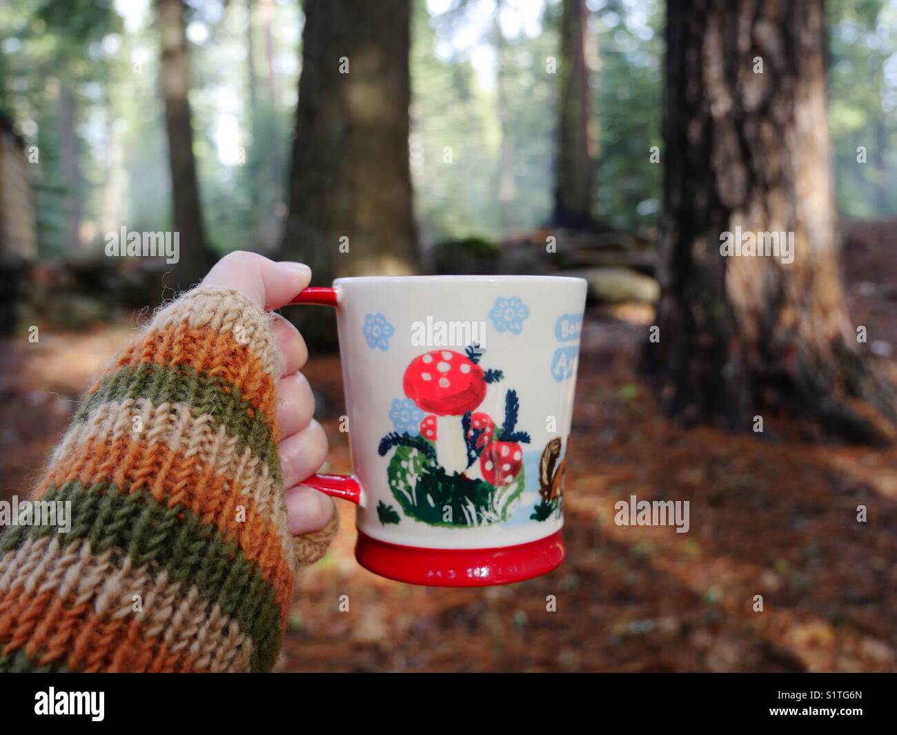 Cozy cup of coffee in the woods Stock Photo Alamy