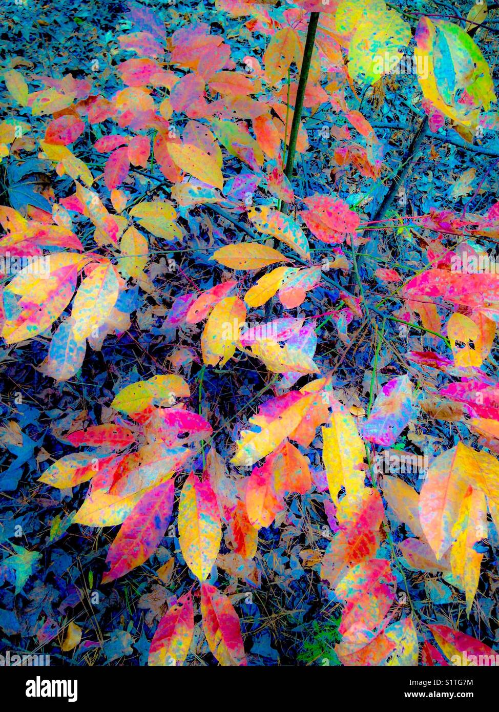 Autumn watercolors Stock Photo