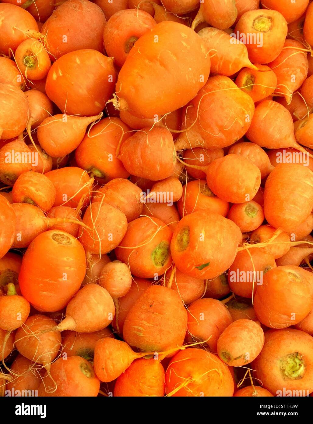 Astro Carrots, are they the cutest little asteroid shaped carrots! Stock Photo