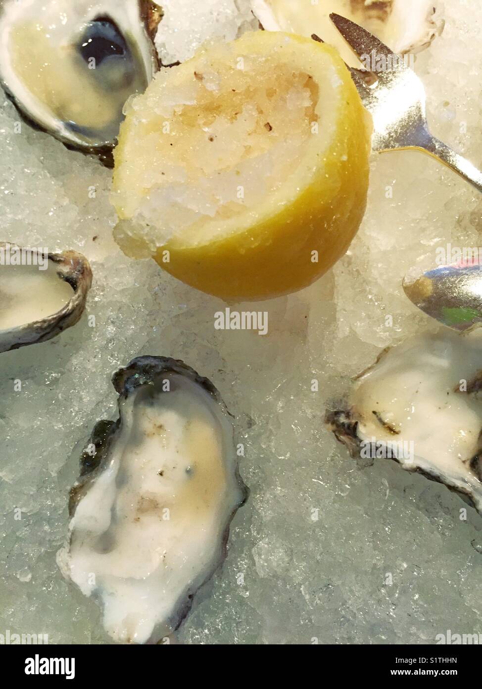 Platter of freshly shucked raw oysters at upscale luxury restaurant in New York City, USA Stock Photo