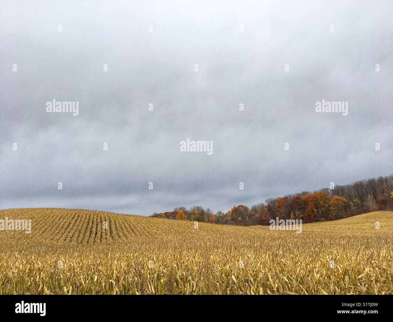 Fall in Menomonie, Wisconsin Stock Photo Alamy