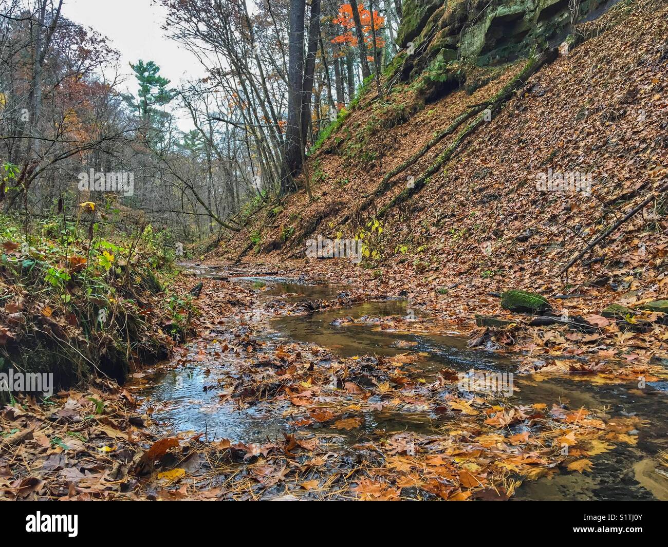 Devil’s Punchbowl, Menomonie, Wisconsin - Smartphone Captured Stock Image