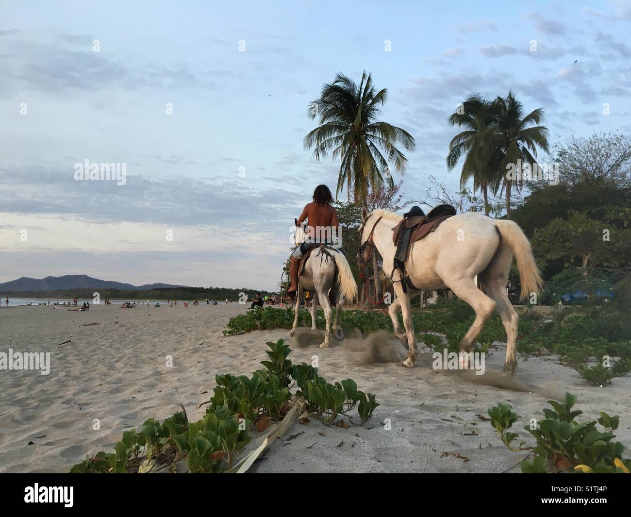 Playa Grande Beach High Resolution Stock Photography And Images Alamy Playa Grande Beach High Resolution Stock Photography And Images Alamy