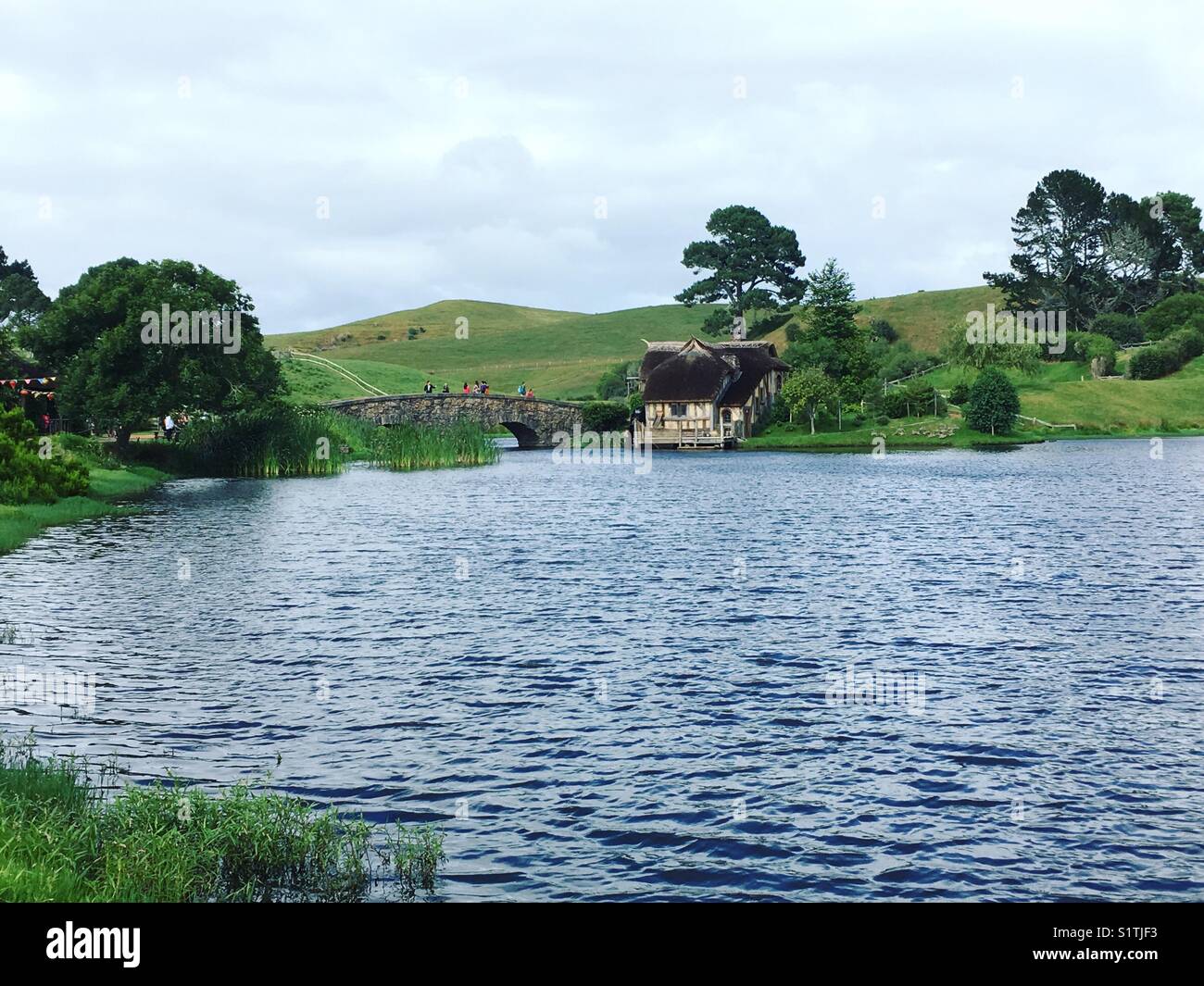 Taken in Matamata, New Zealand where The Lord of the RingsThe Hobbit