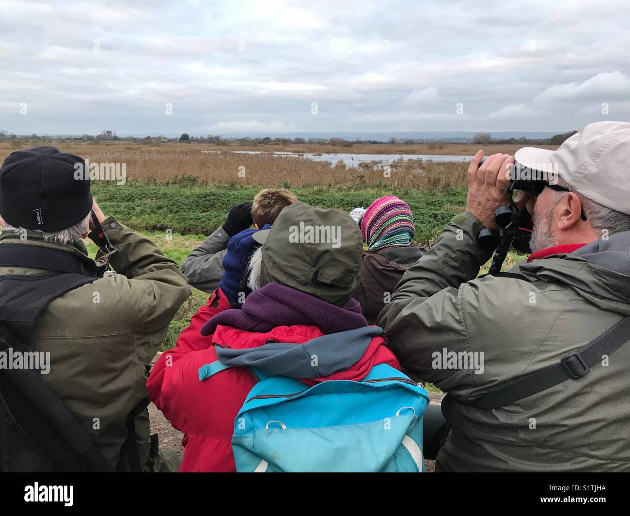 Twitchers with binoculars watching for the starling murmuration as the birds arrive to roost in the reed beds. Ham Wall, Avalon Marshes, Somerset, England, UK Stock Photo