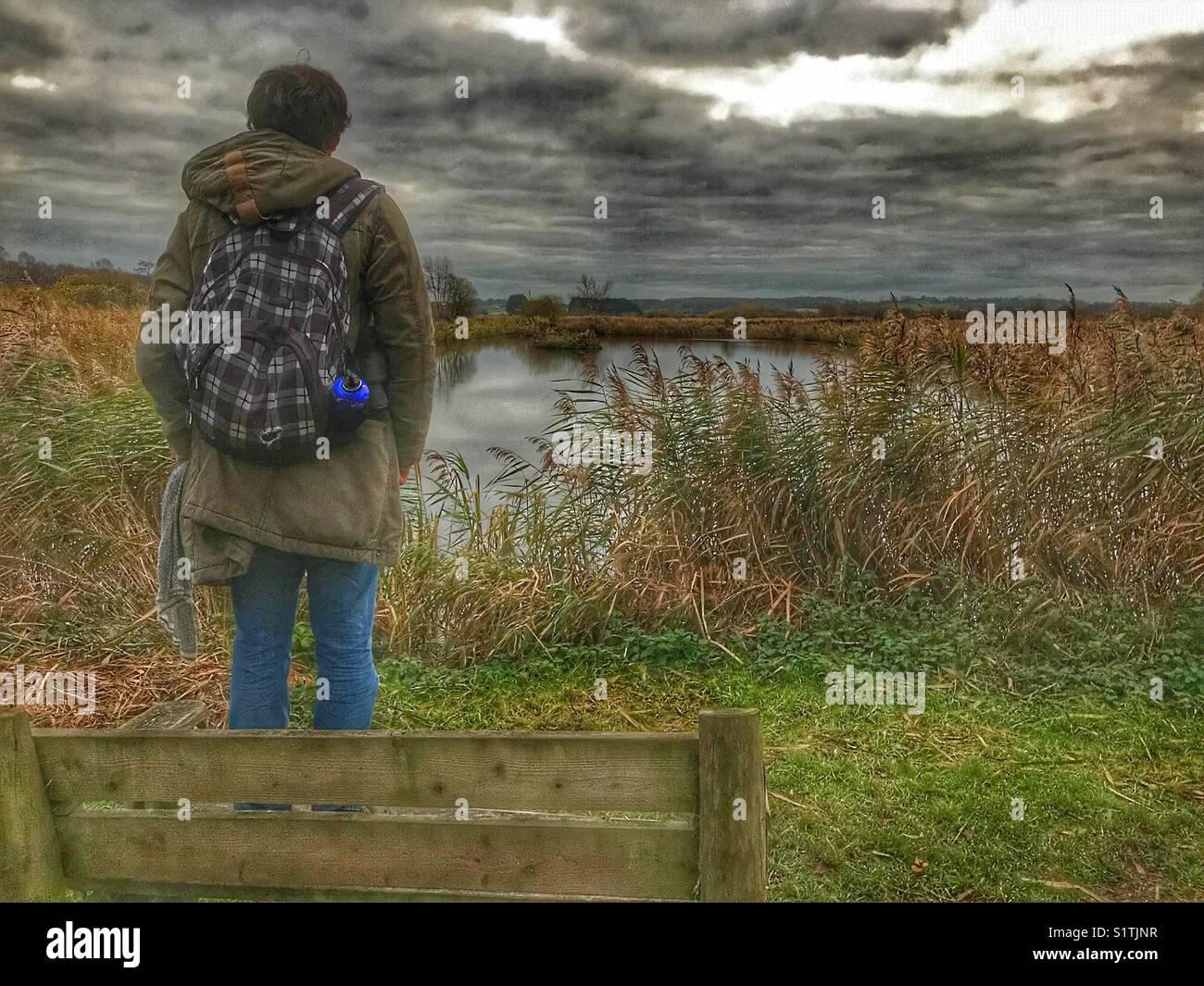 Twitcher on a bench, watching for the starling murmuration as the birds arrive to roost in the reed beds at sunset. Ham Wall, Avalon Marshes, Somerset, England, UK - Smartphone Captured Stock Image
