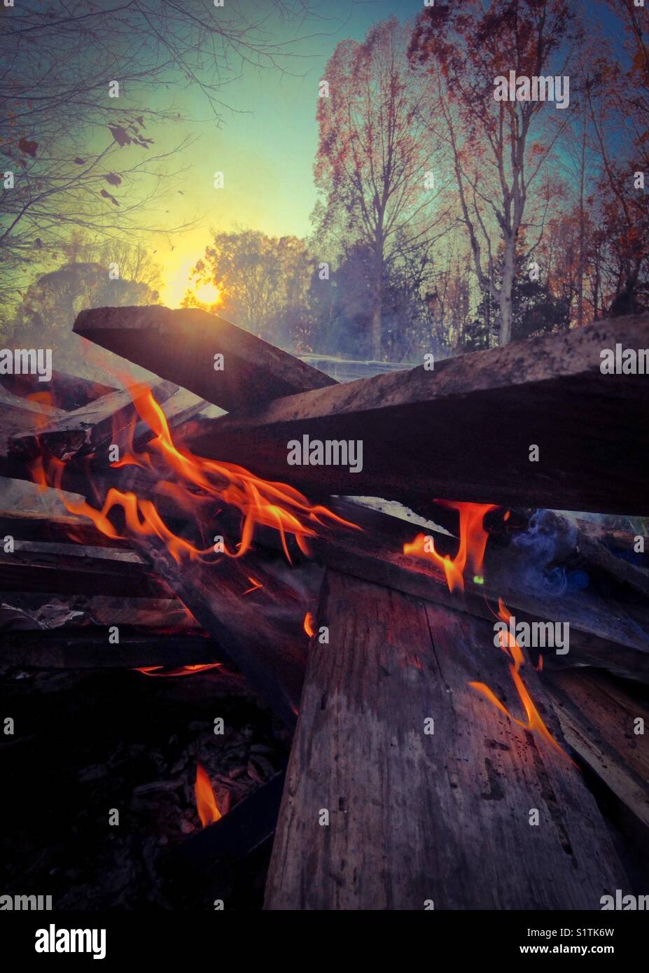 Burning planks as the sun sets on North Carolina woods - Smartphone Captured Stock Image
