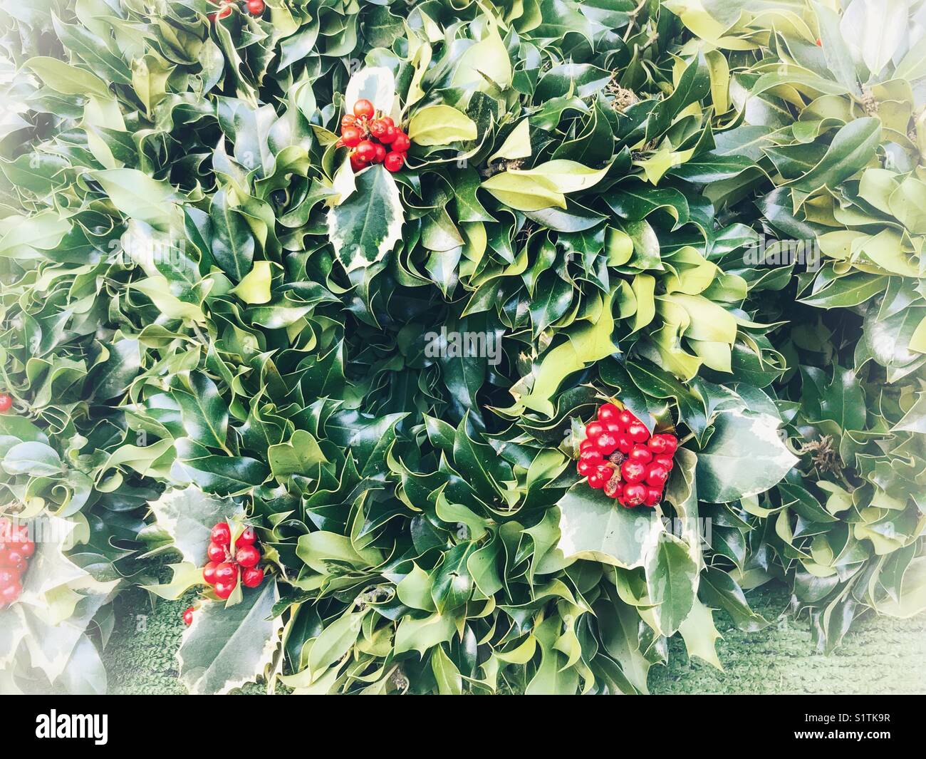 Christmas decorations: handmade natural Christmas wreath for sale on a market stall. - Smartphone Captured Stock Image