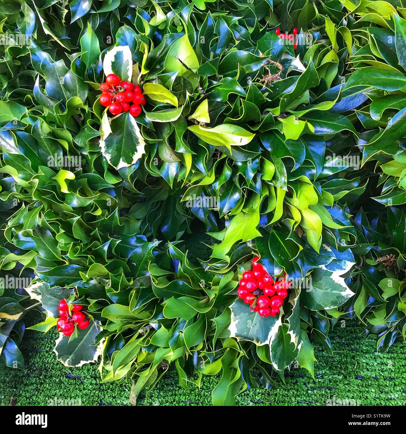 Christmas decorations: handmade natural Christmas wreath for sale on a market stall. - Smartphone Captured Stock Image