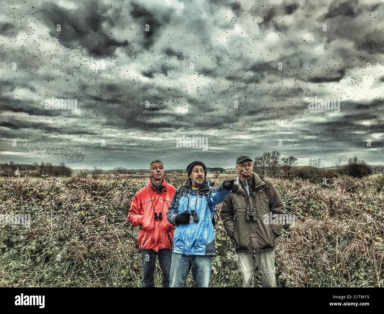 Twitchers with binoculars watching for the starling murmuration (behind them!) when the birds come to roost in the reed beds at night, Ham Wall, Avalon Marshes, Somerset, England - Smartphone Captured Stock Image
