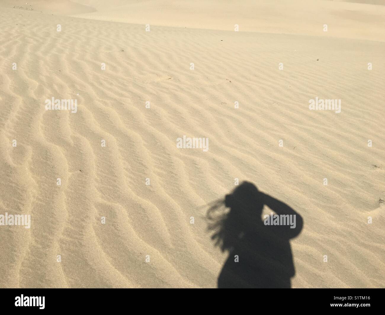 Windy day in Maspalomas in Gran Canatia Stock Photo Alamy