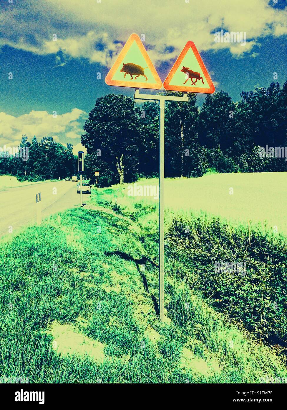 Sign warning of wild boar and moose on road, Sweden, Scandinavia - Smartphone Captured Stock Image