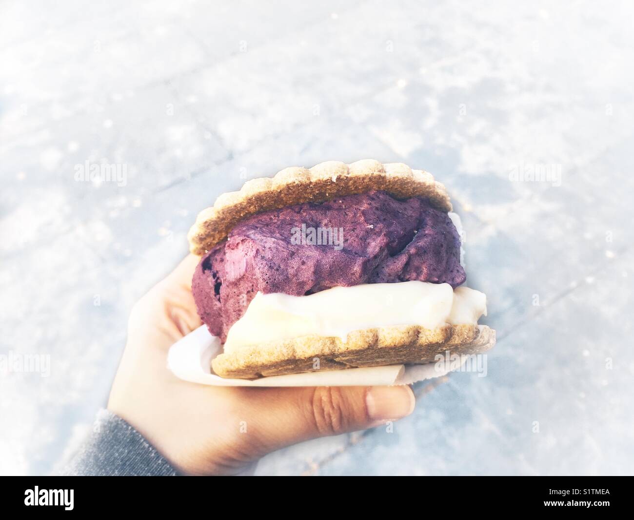 Ice cream sandwich Stock Photo