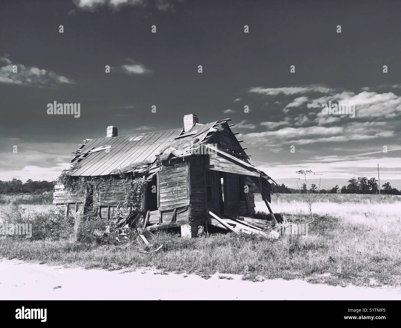 Abandoned wooden house destroyed by weather and time - Smartphone Captured Stock Image
