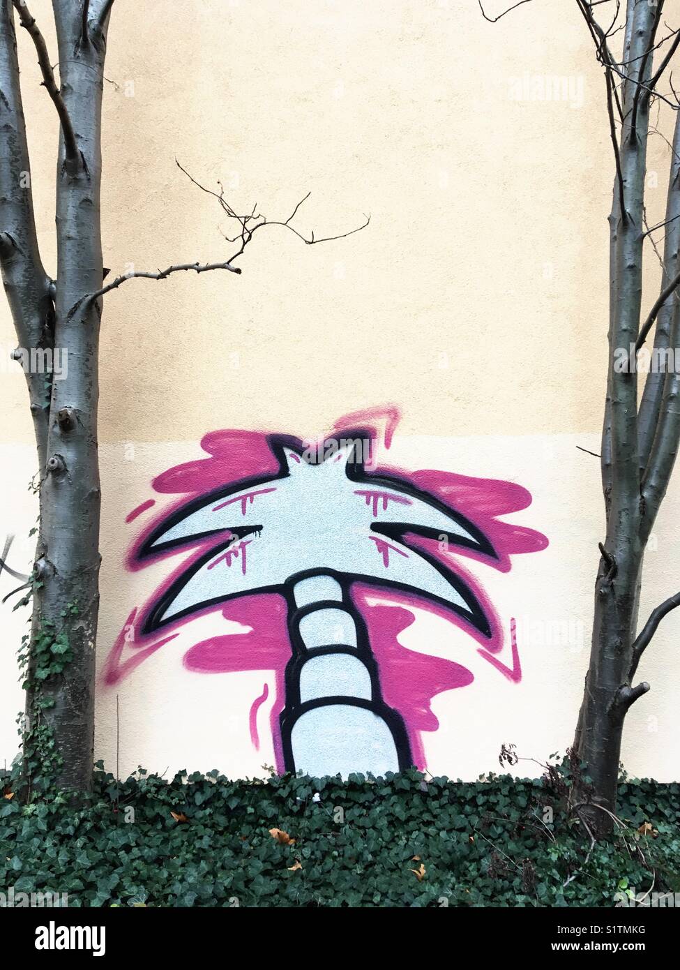 A palm tree graffiti on a wall in the city - Smartphone Captured Stock Image