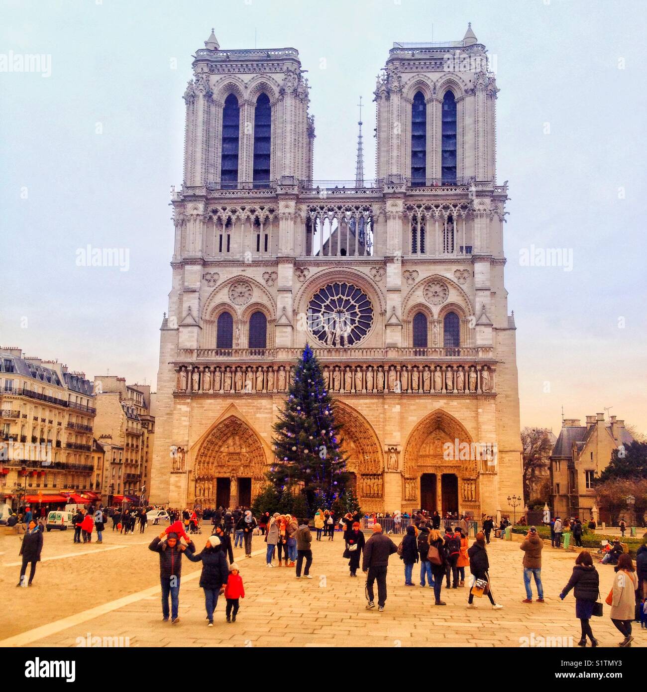 Notre Dame Cathedral in Paris France - Smartphone Captured Stock Image