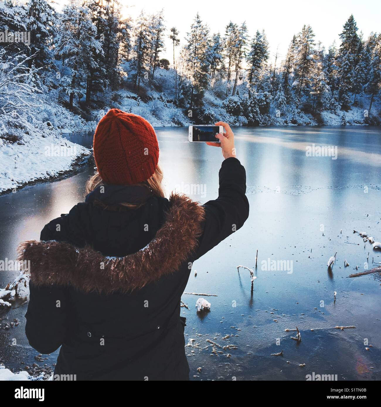 Woman in winter clothes and red hat taking a photograph with her iPhone of a frozen lake surrounded by snow covered trees. Stock Photo