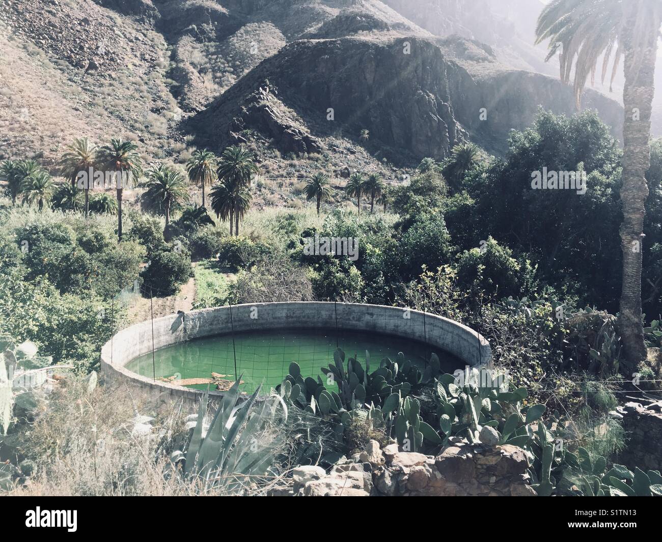 Water well in an oasis on Gran Canaria in Spain - Smartphone Captured Stock Image