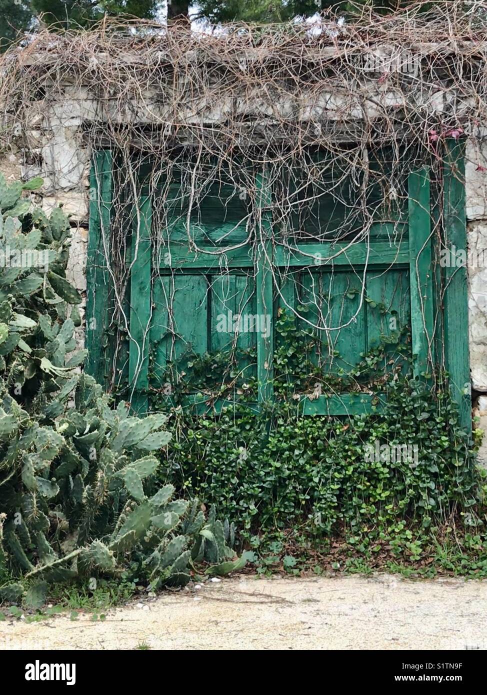 Green wood hires stock photography and images Alamy