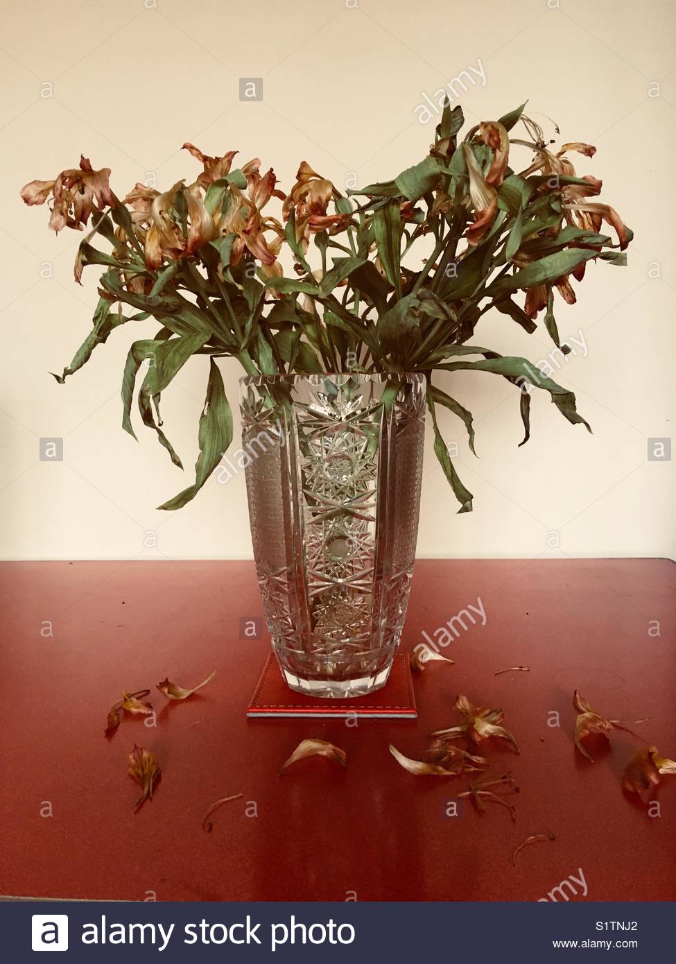 Dead Flowers In Vase Stock Photos & Dead Flowers In Vase Stock Images