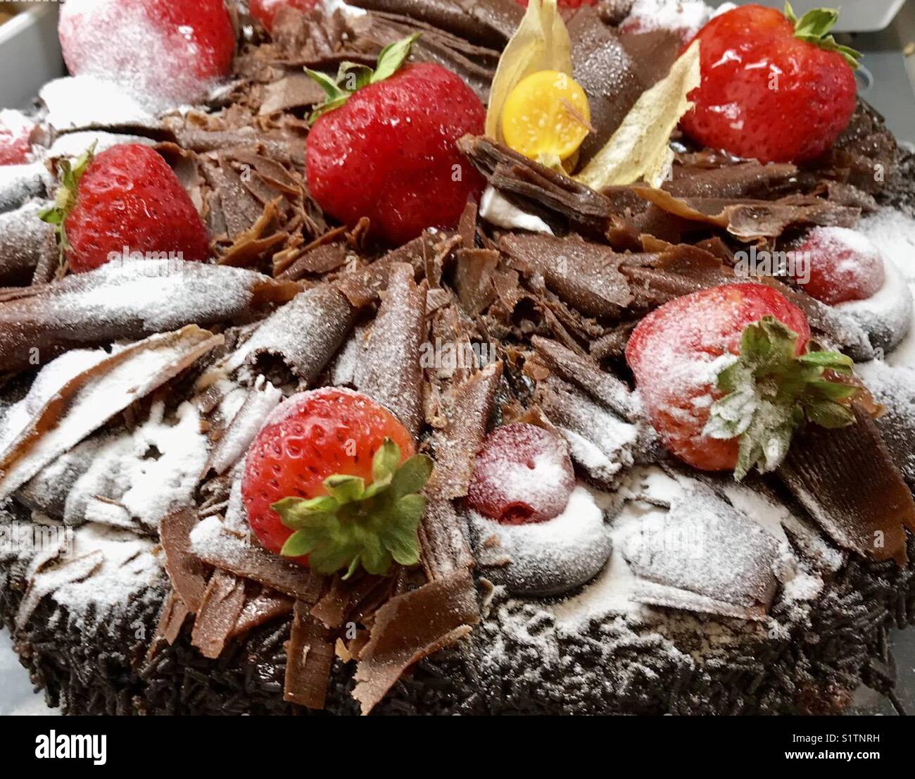 Chocolate, strawberries and icing sugar on top of a large gateau Stock Photo