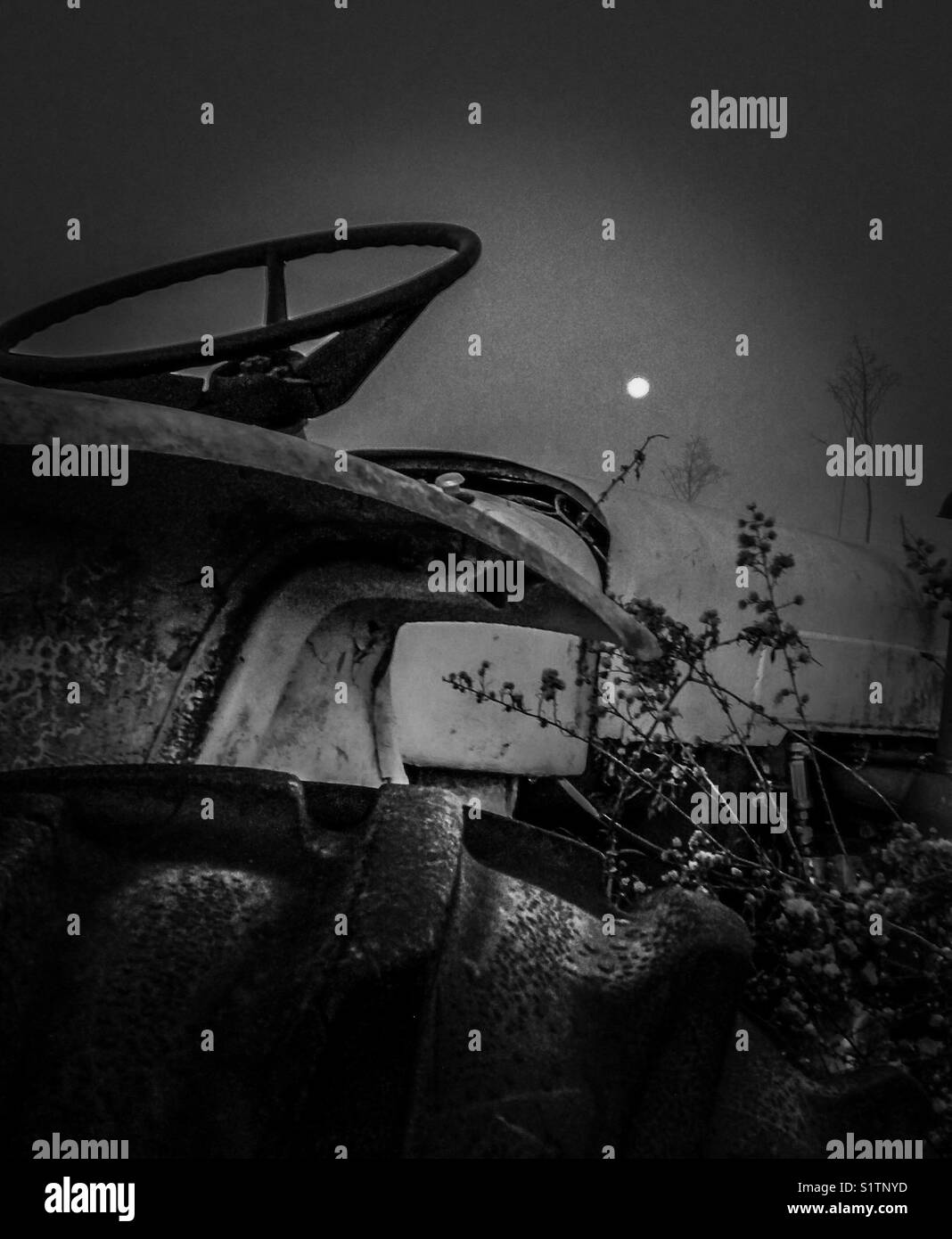 Full moon in North Carolina morning - Smartphone Captured Stock Image