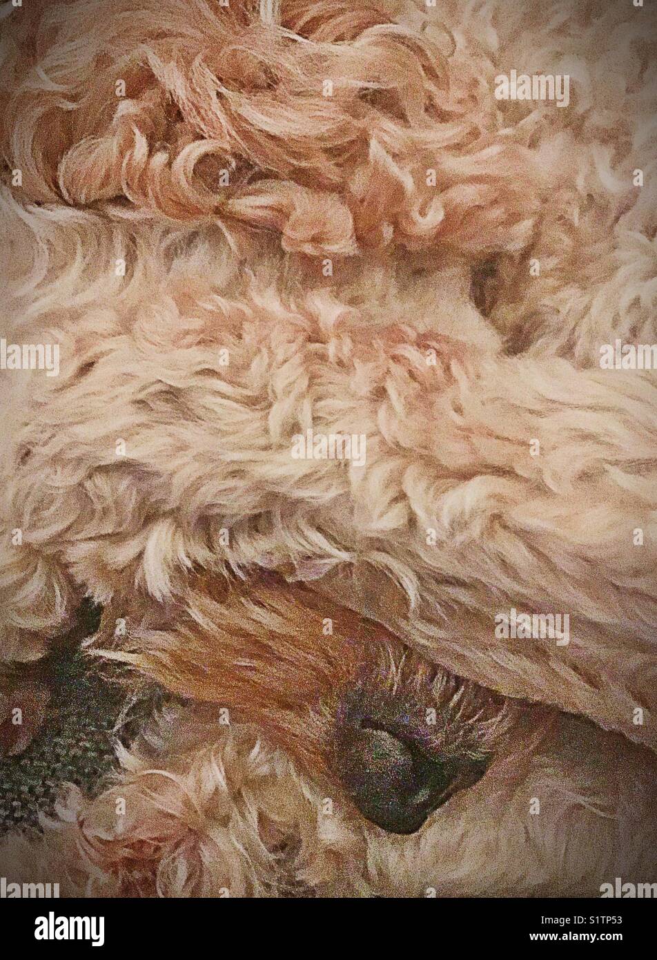 Sleep over stockimo hires stock photography and images Alamy