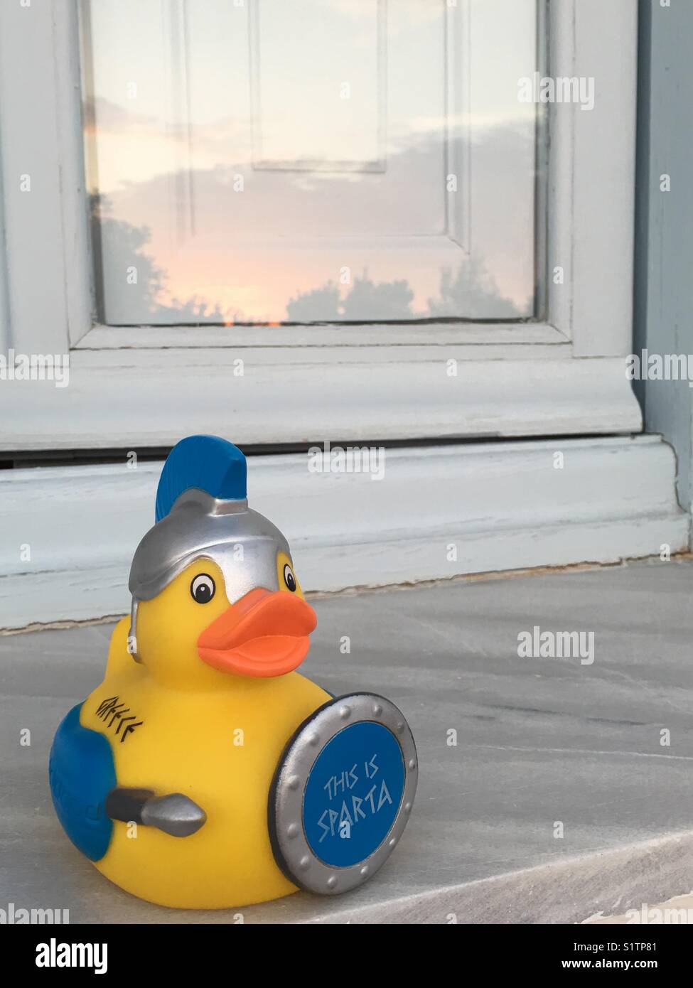 Rubber duckie on window ledge with reflection of trees on the window pane Stock Photo