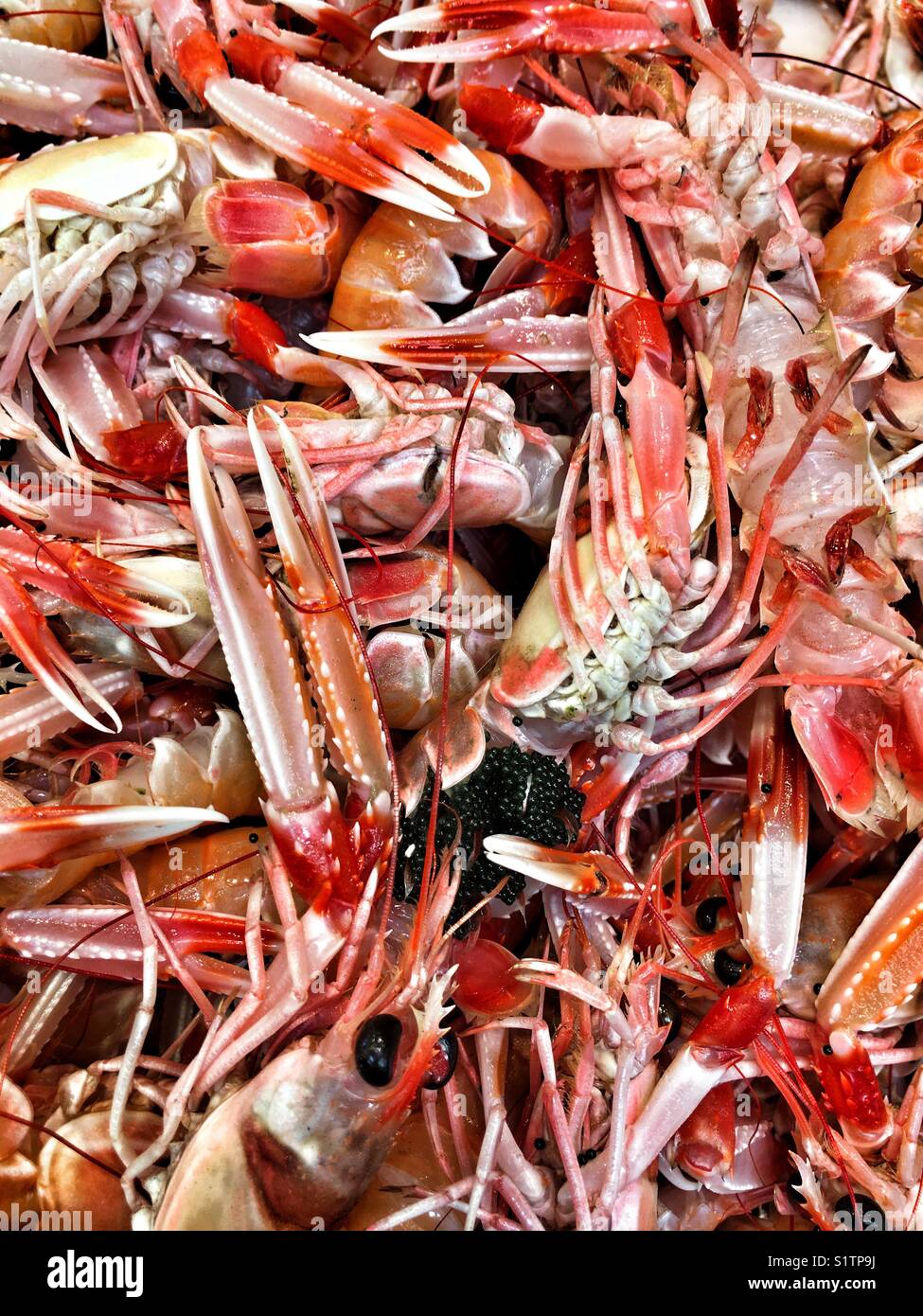 Crawfish and shrimps in the market Stock Photo