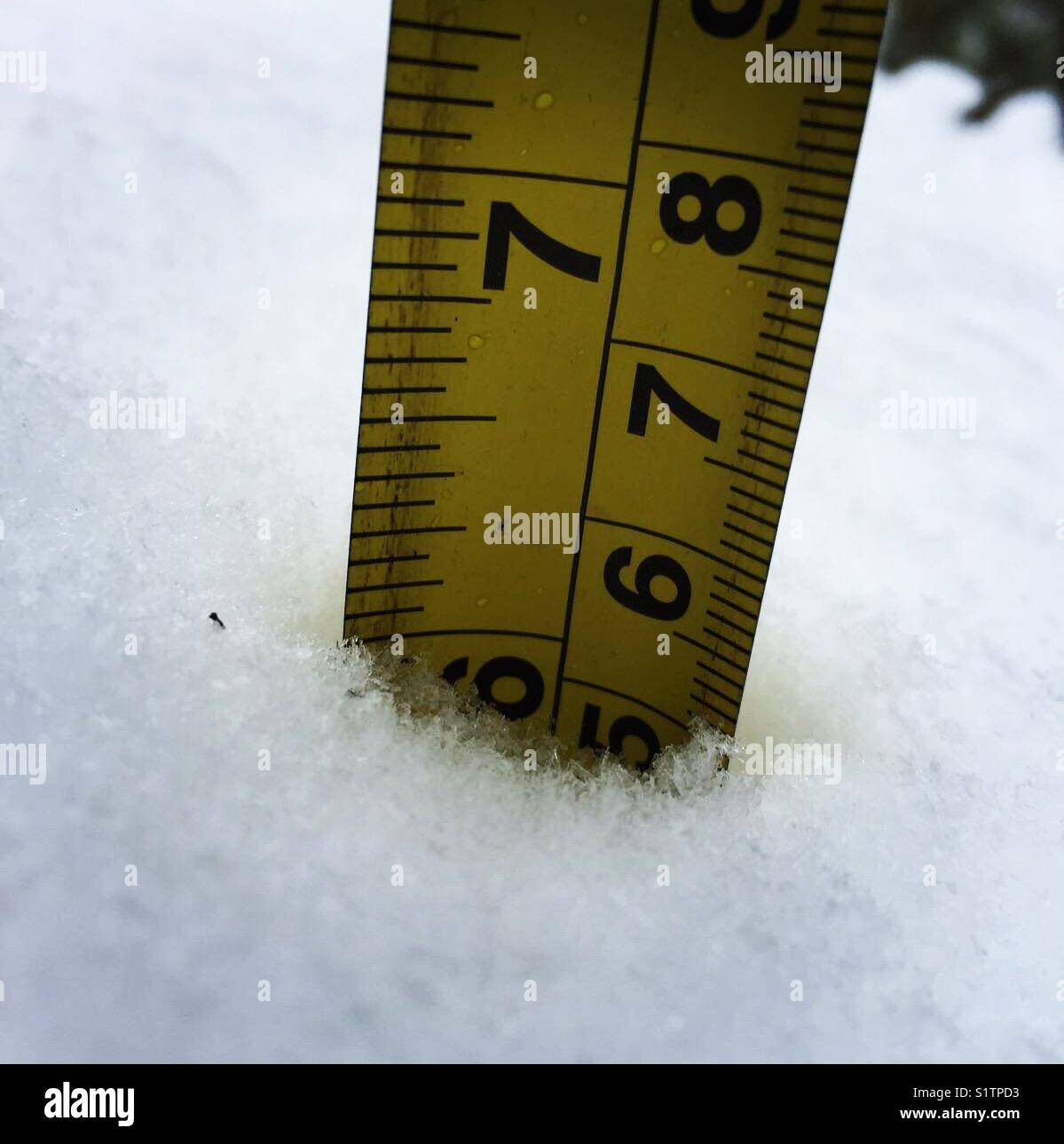 Measuring snow depth with ruler hires stock photography and images Alamy