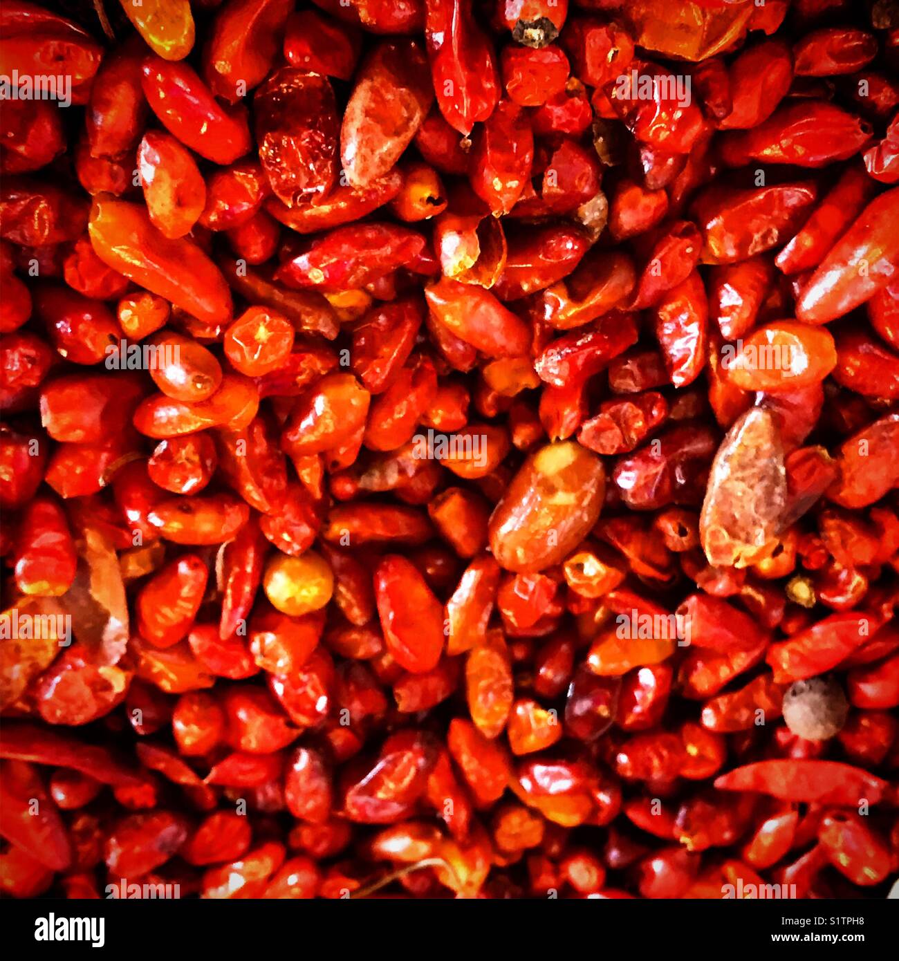 Red chilli peppers in Benito Juarez market, Oaxaca, Mexico - Smartphone Captured Stock Image
