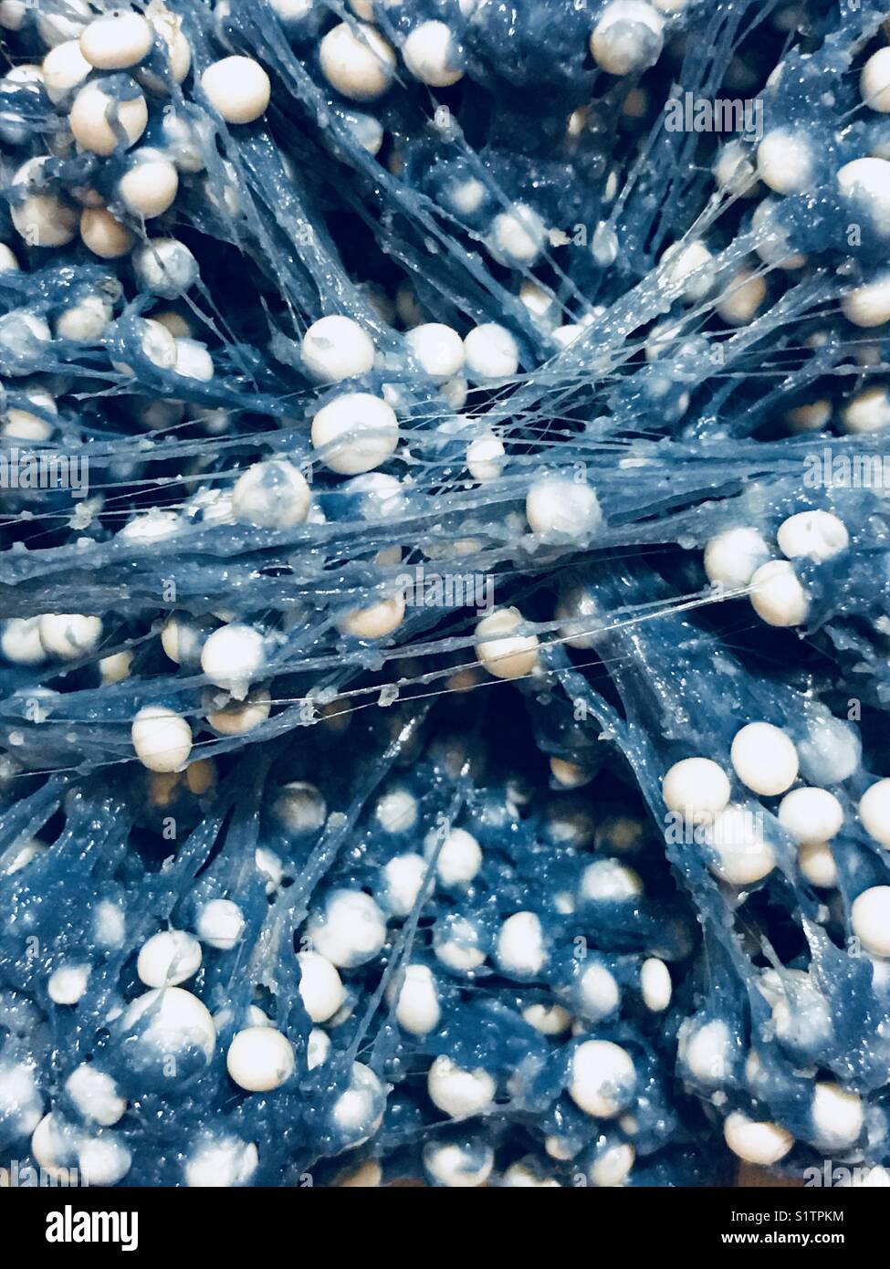Blue slimy with White balls Stock Photo