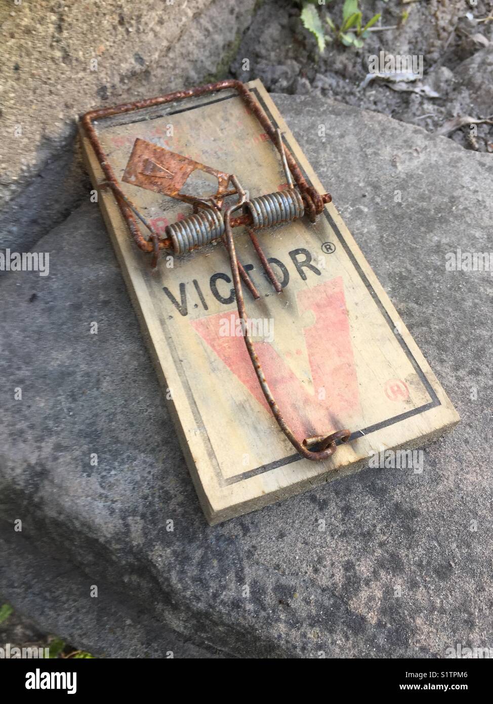 A rusted metal mouse trap Stock Photo - Alamy