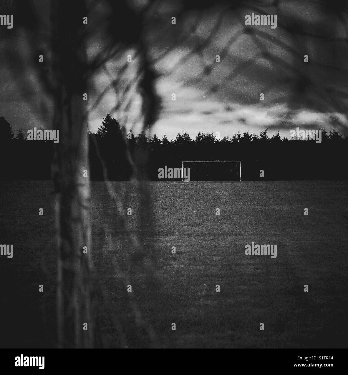 Goal ! - Smartphone Captured Stock Image