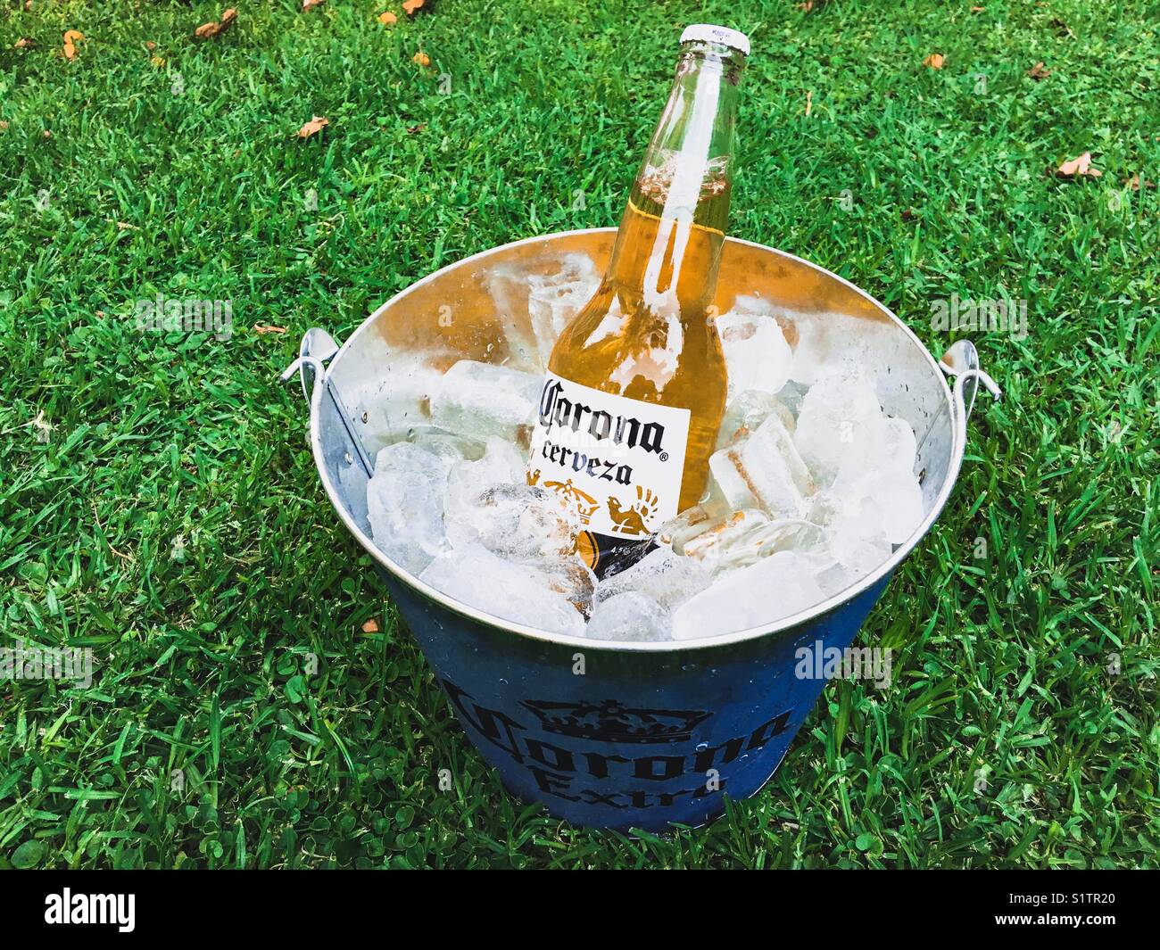 ice cold beer bucket, long neck 21217485 PNG
