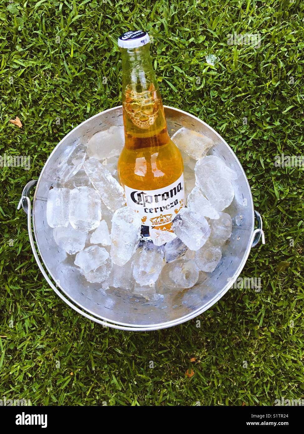 Corona beer Stock Photo: 310946220 - Alamy