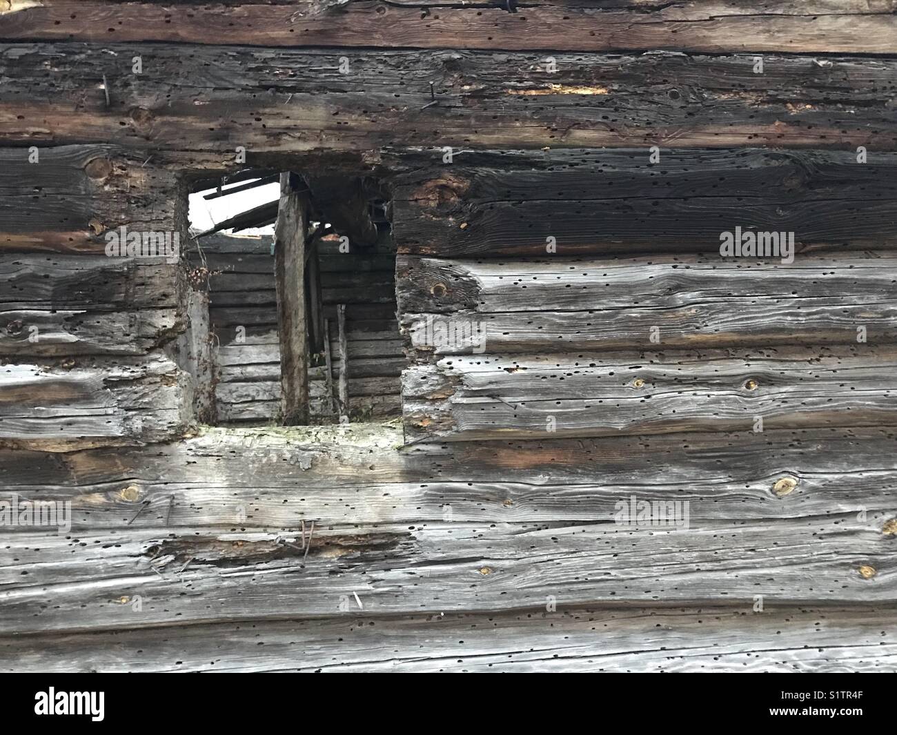 An Old Abandoned Log House With Traces Of Time On The Walls The