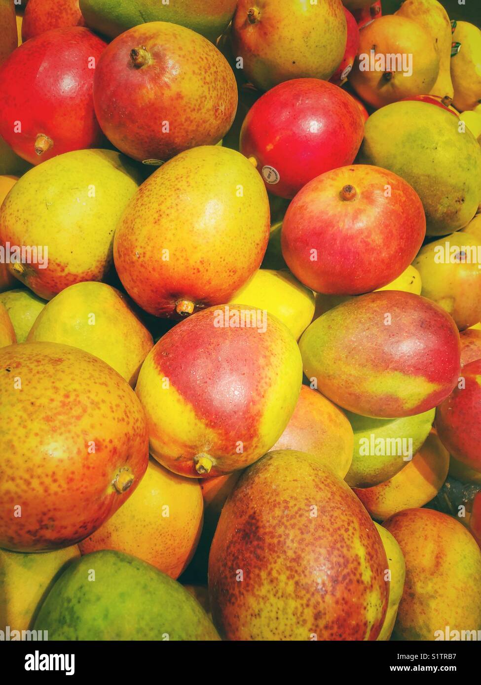 Pile of brightly coloured fresh mangoes for sale at the supermarket Stock Photo Alamy