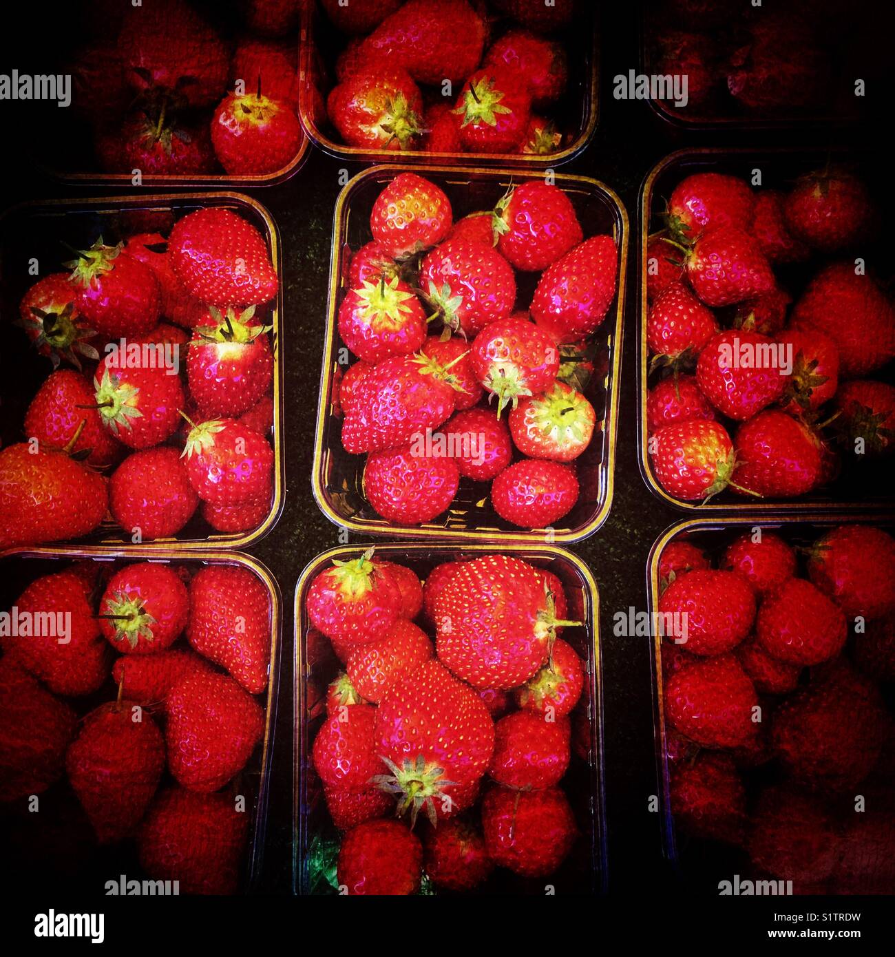 Punnets of scrumptious red strawberries Stock Photo