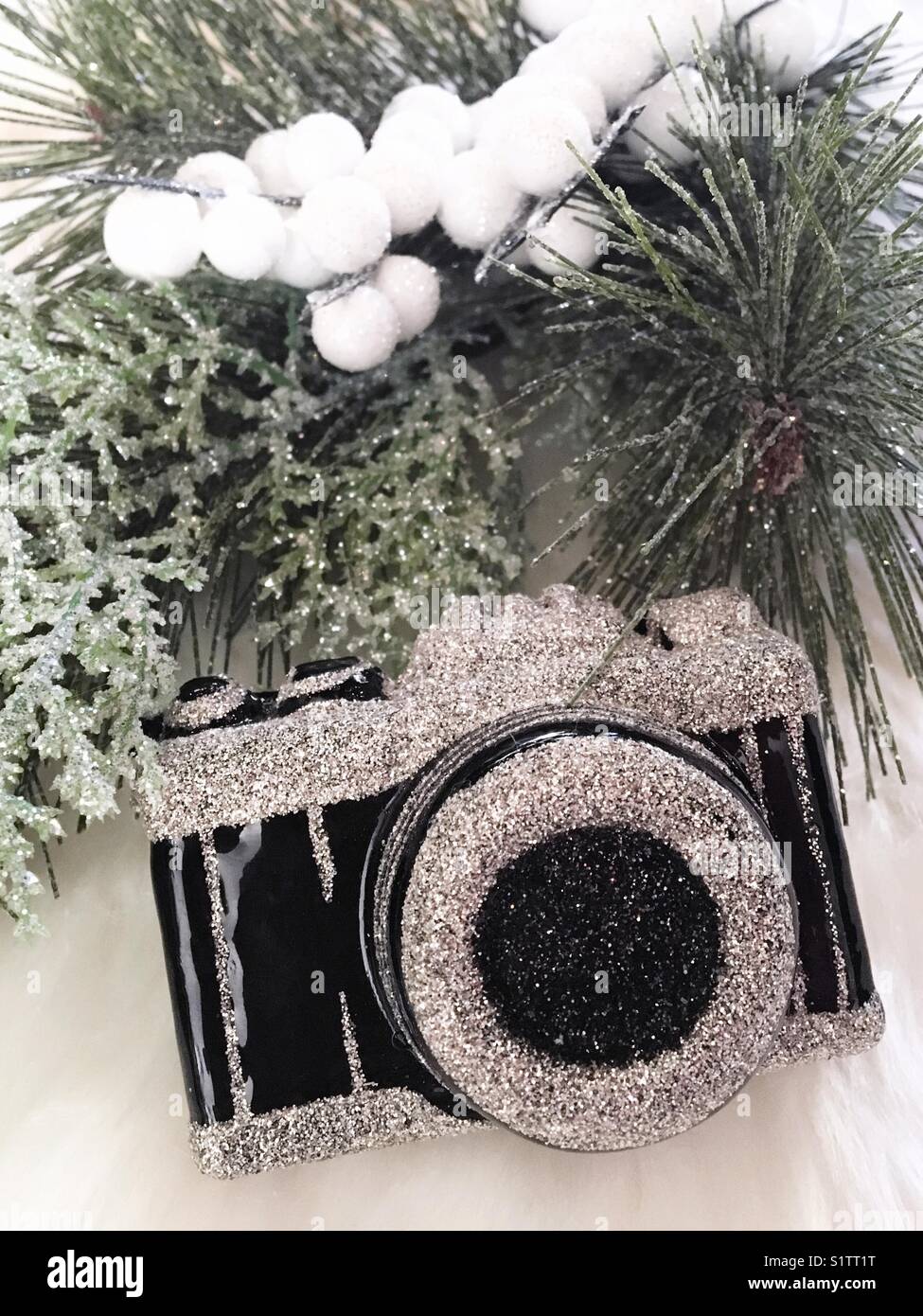 Camera ornament with winter greens Stock Photo