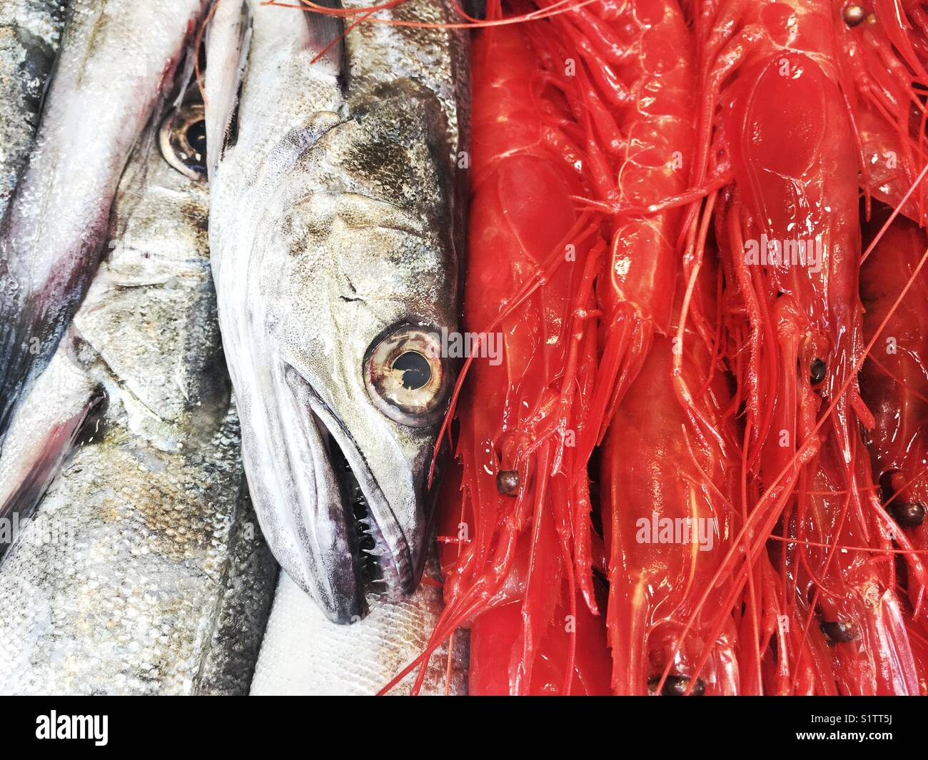 Fresh red shrimps, prawns and fish on the market - Smartphone Captured Stock Image