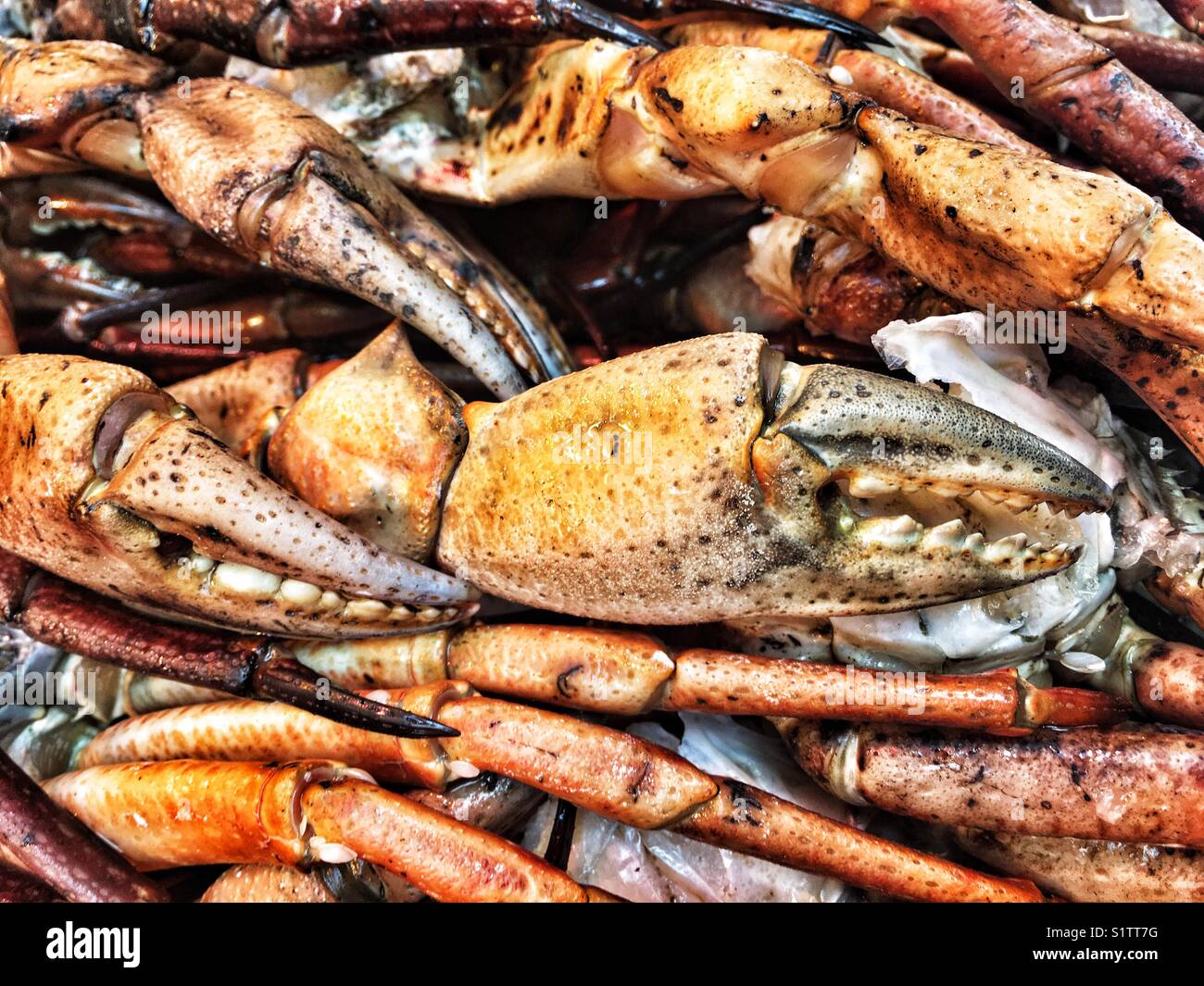 Crabs legs and claws on the market Stock Photo Alamy