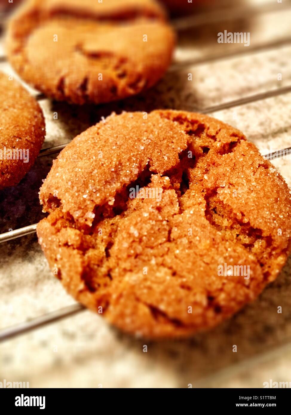 Home made ginger snaps Stock Photo Alamy