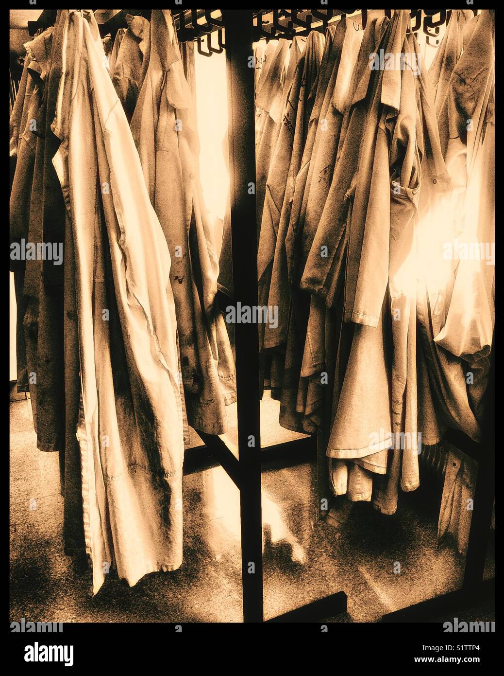 Rows of lab coats hanging up in sunlight - Smartphone Captured Stock Image