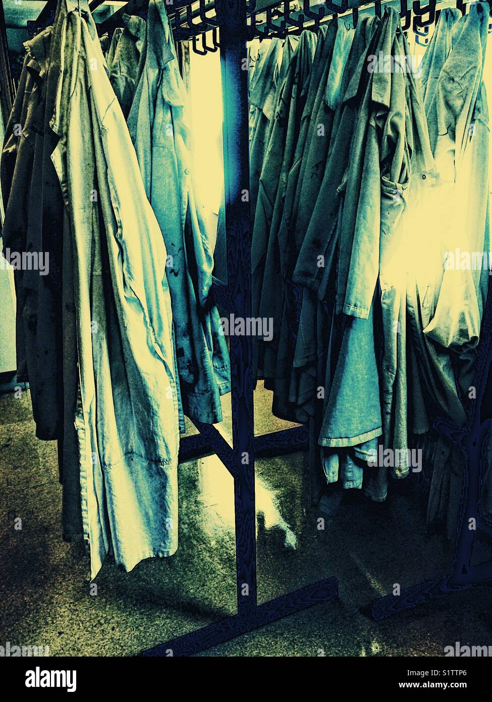 Rows of lab coats hanging up in sunlight - Smartphone Captured Stock Image