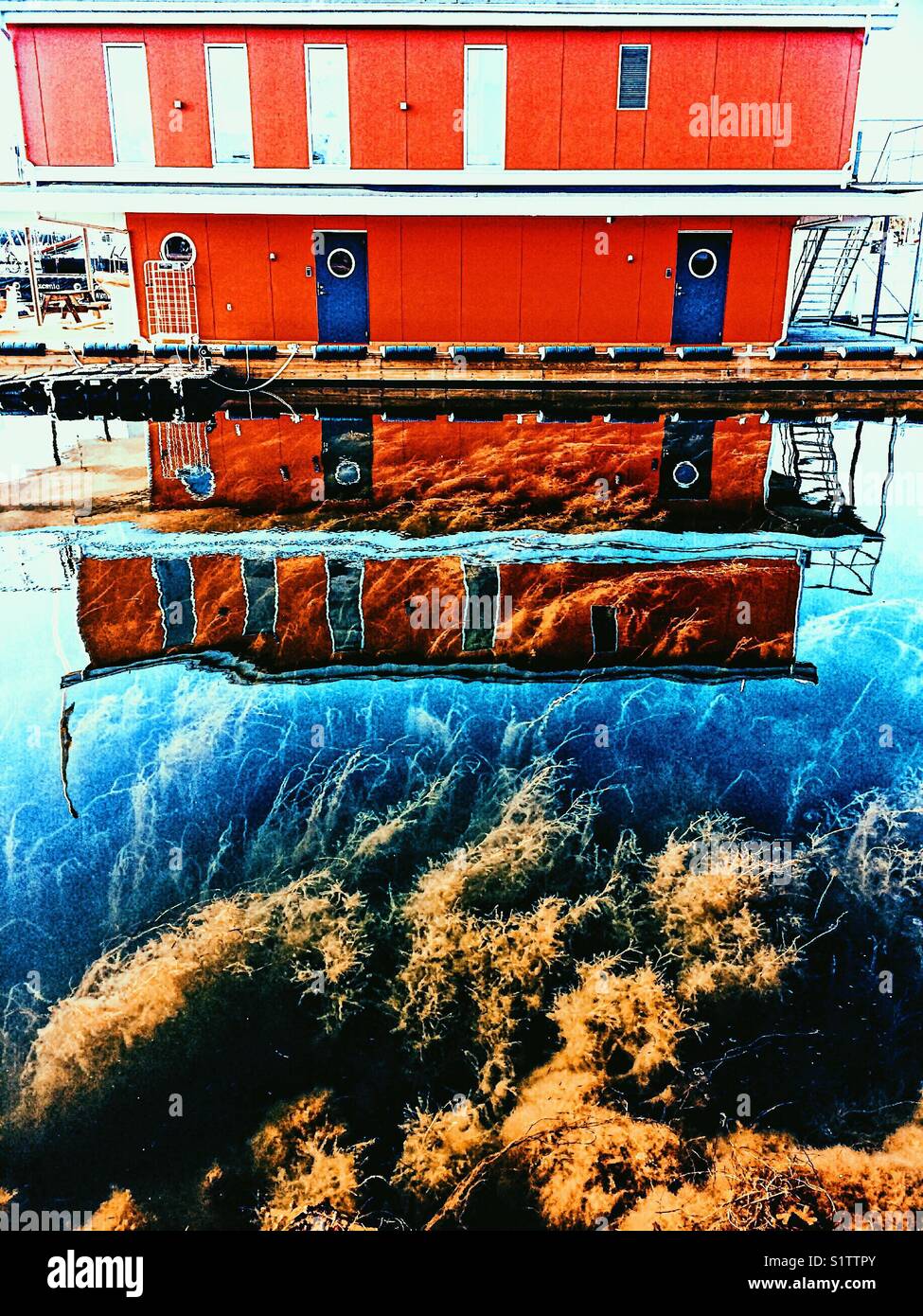 Building reflected in water and view of plants underwater, Sweden, Scandinavia - Smartphone Captured Stock Image