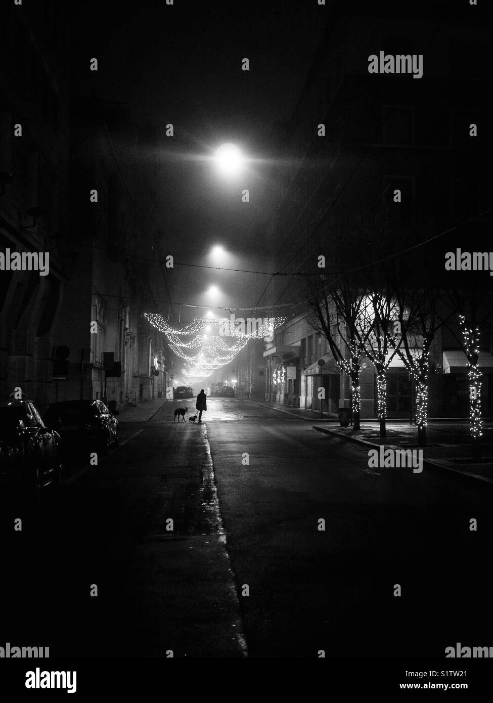 A man walking his dogs in a dark night qlone in the street - Smartphone Captured Stock Image