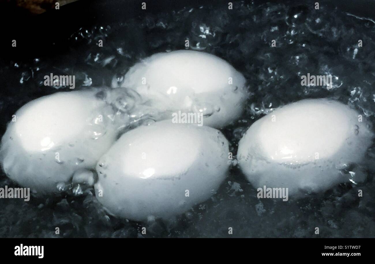 Boiling White Eggs in rolling, furious, bubbling boiling water Stock Photo