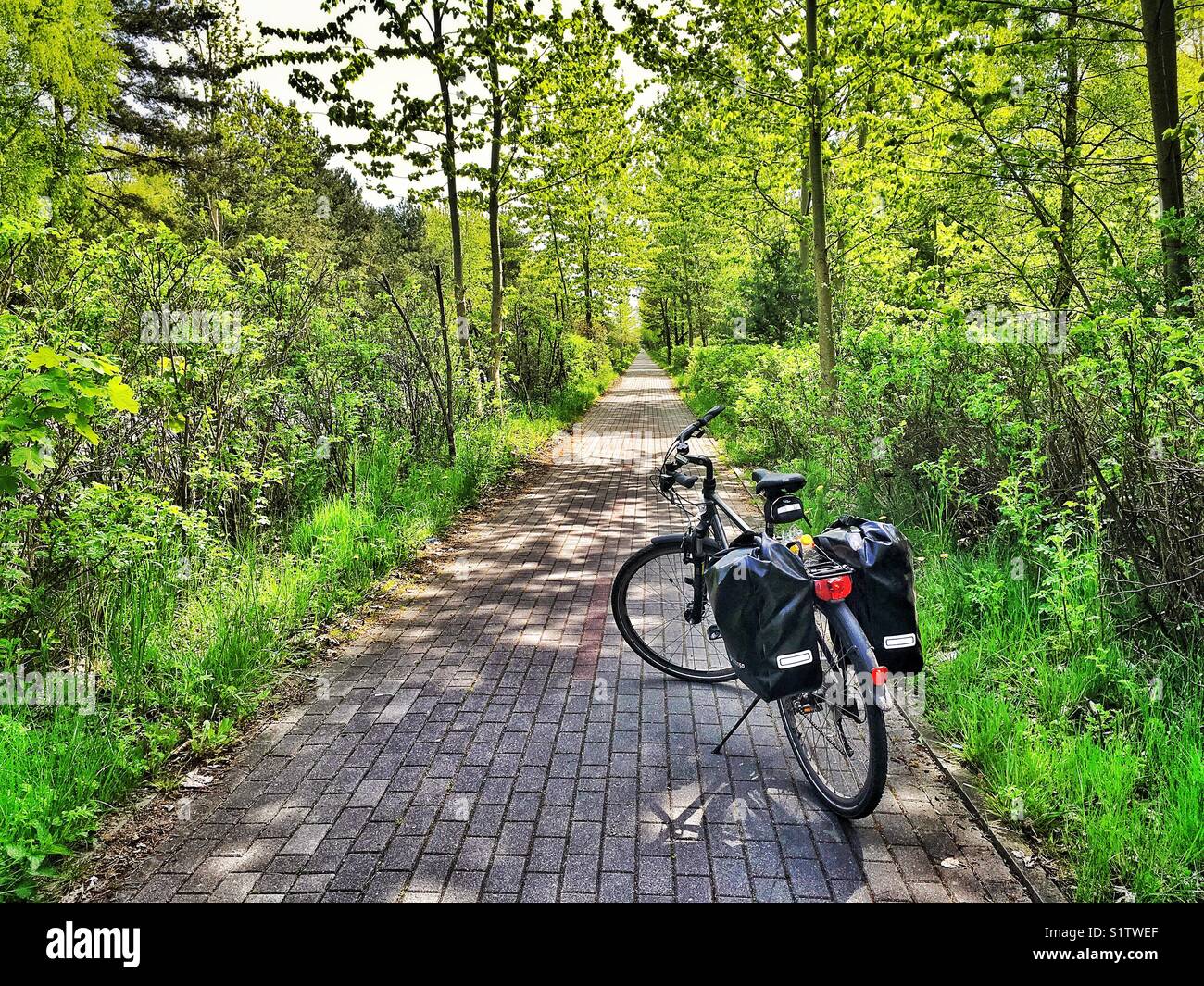 Bicycle on a bike path on Hel Peninsula near Wladyslawowo Town in